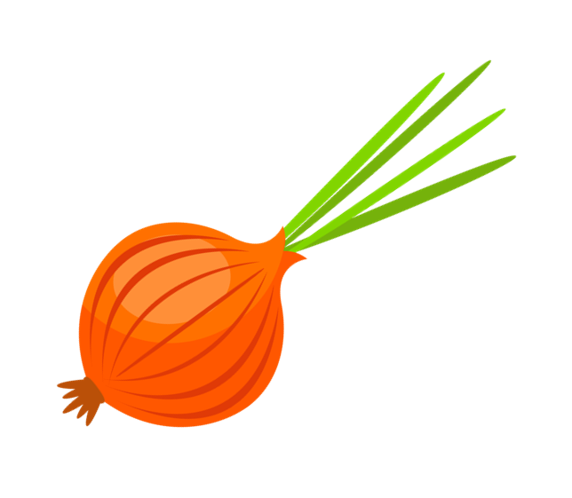 onion (1).png