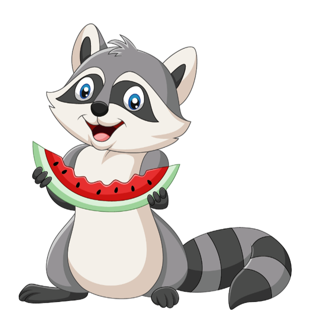 racoon.png