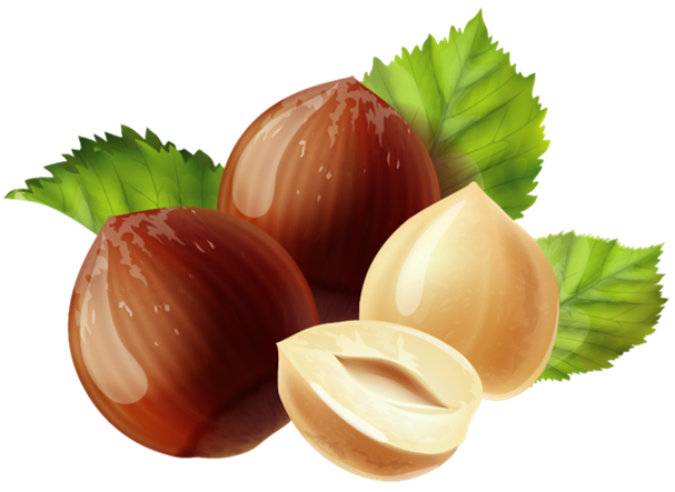 chestnuts.png