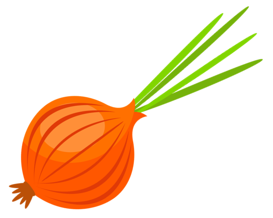 onion (1) (1).png