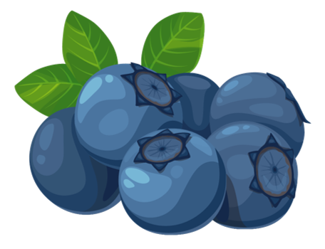 blueberries.png