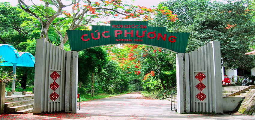 Cuc-Phuong-National-park-7.jpg